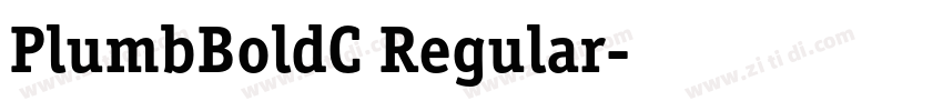 PlumbBoldC Regular字体转换